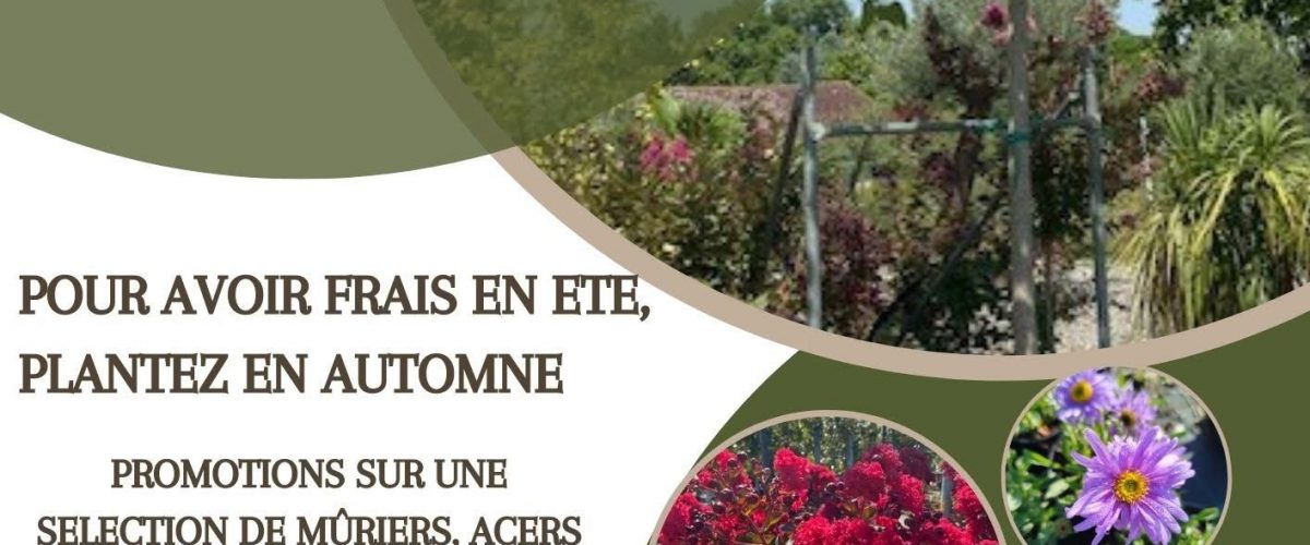 Orkane pépinère Engandou
